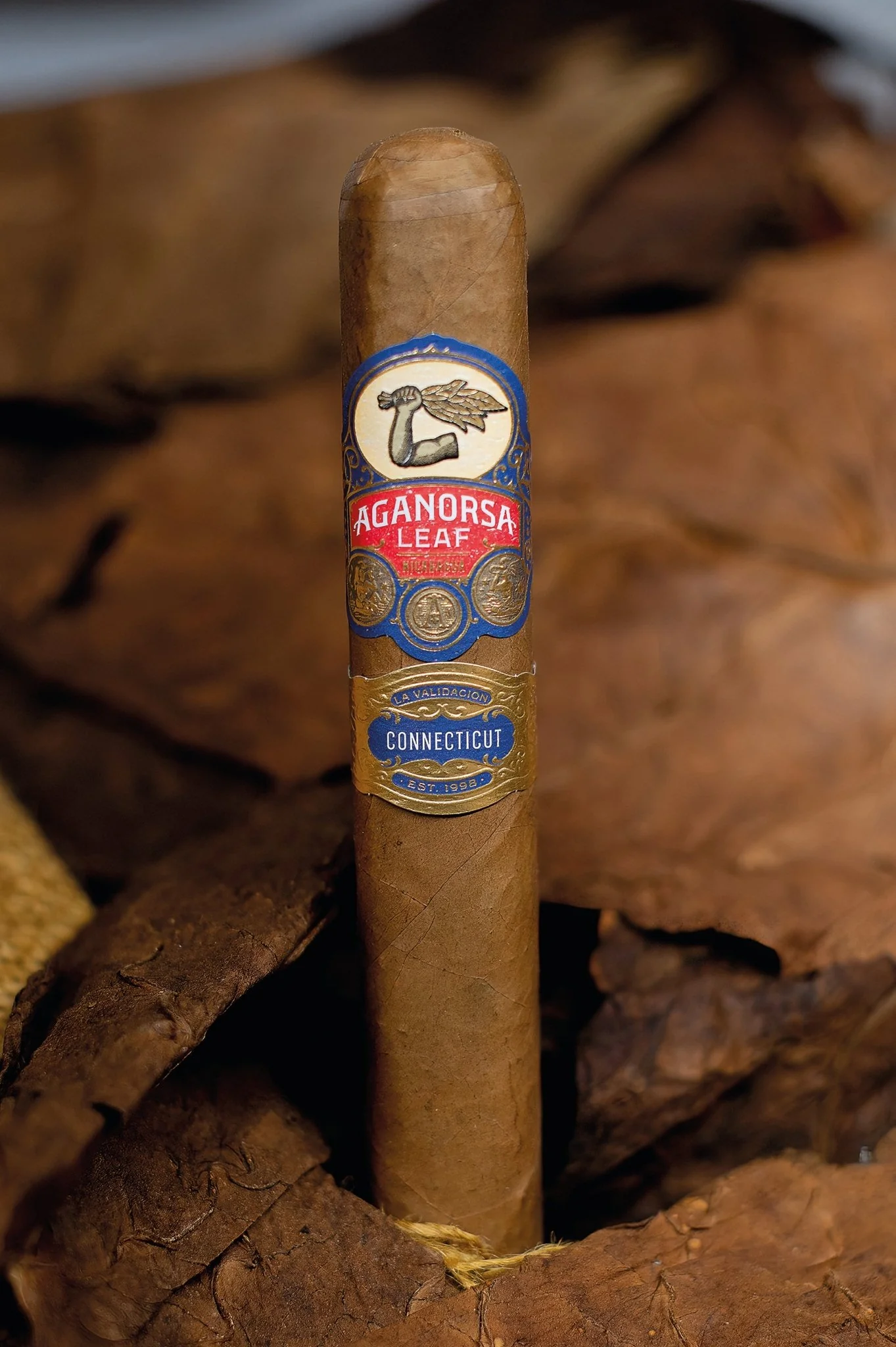 Aganorsa Leaf - Nicaragua La Validacion Connecticut Gran Robusto 5 x 54 15 stick box - Image 2