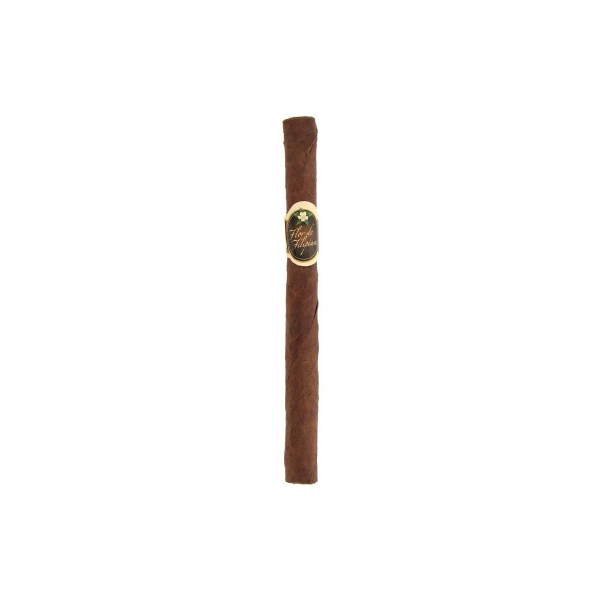 Newest Products