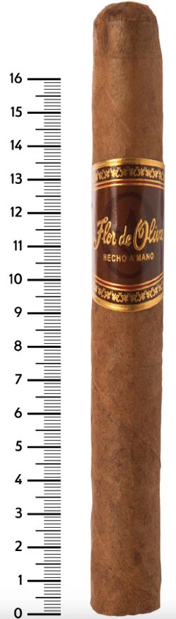 Oliva - Flor De Oliva Churchill 7x50, 25'S - Image 2