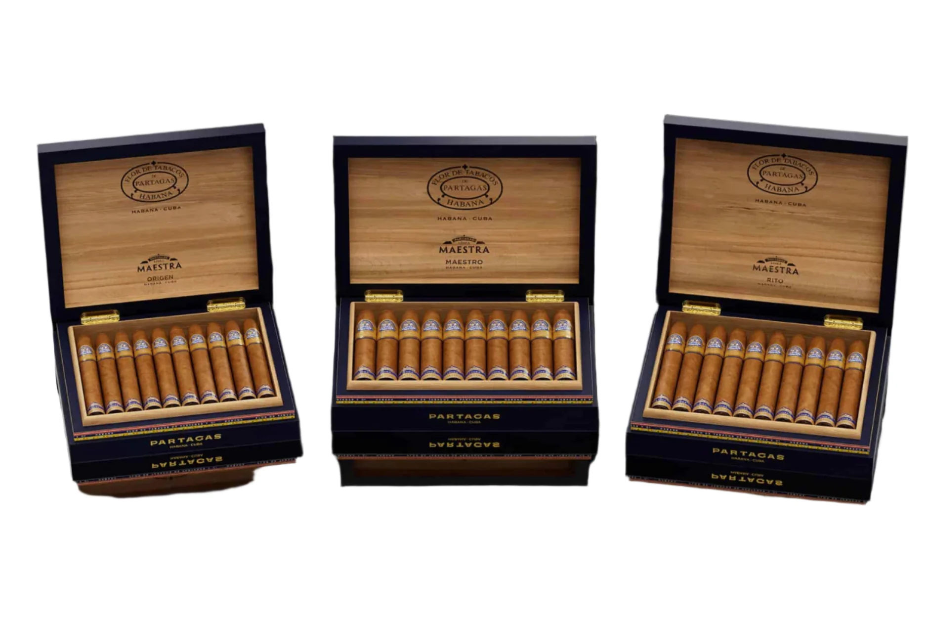 Partagas - Linea Maestra Maestro 20 stick - Image 3