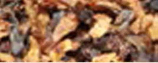 Robert McConnell - Black Flake 50 gram - Image 2